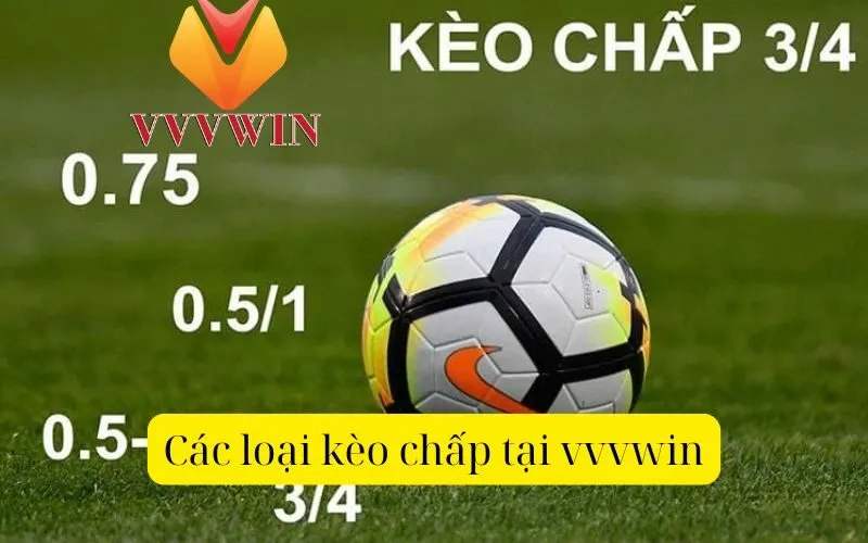 Các loại kèo chấp tại vvvwin