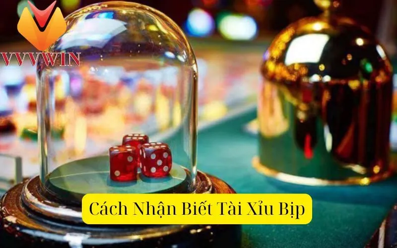 Cách Nhận Biết Tài Xỉu Bịp