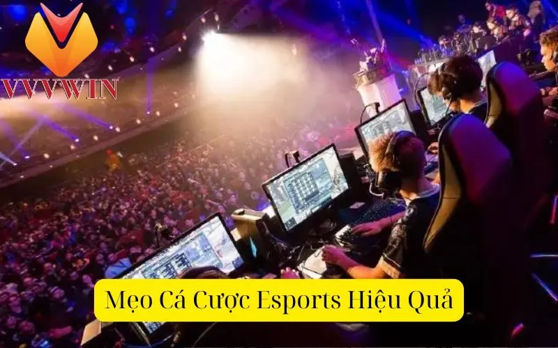 Mẹo Cá Cược Esports Hiệu Quả